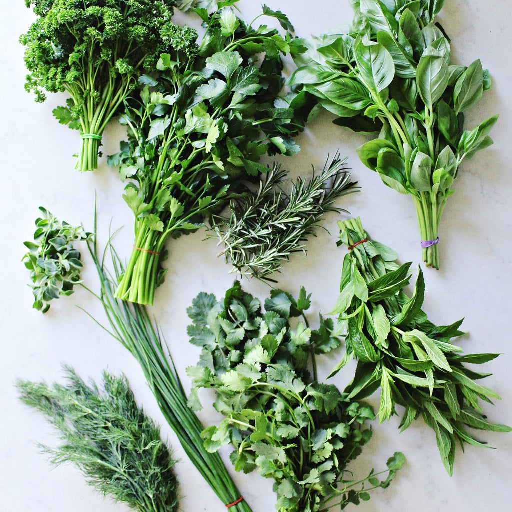 Our Field Guide To Fresh Herbs | Harris Farm Markets