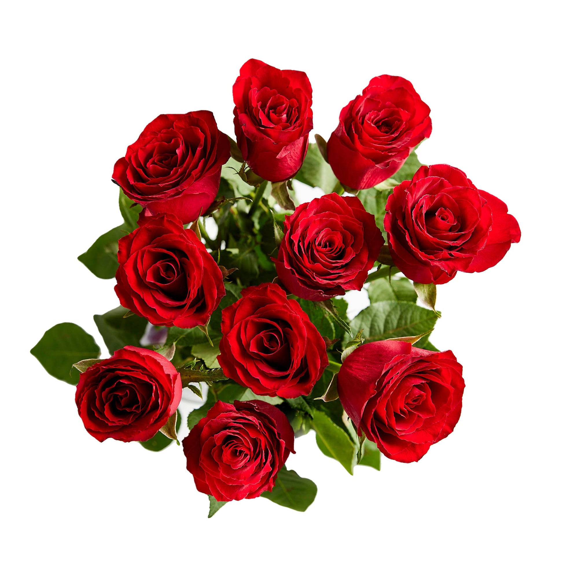 Flowers Roses Red 10 Stem Bunch | Harris Farm Online