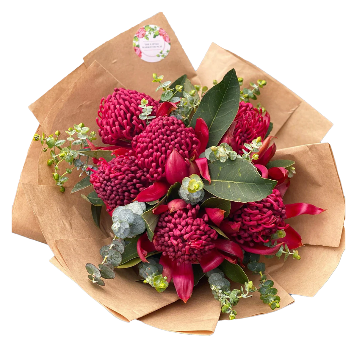 Waratah Flower Bunch