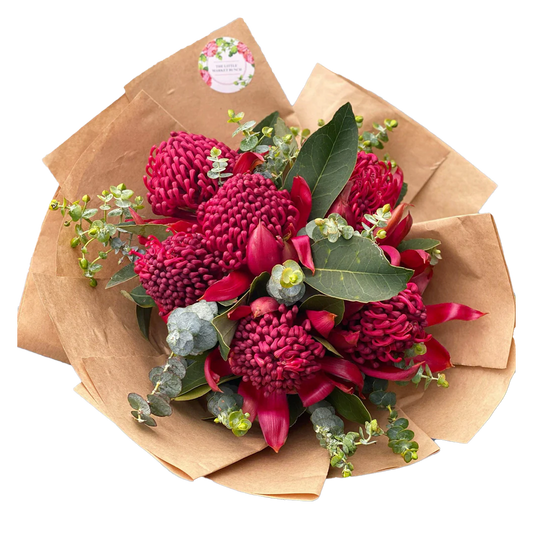 Waratah Flower Bunch