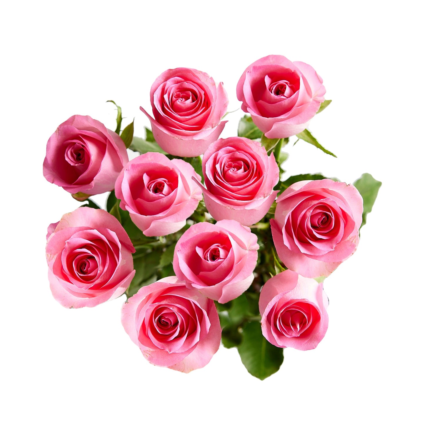 Flowers Roses 10 Stem Bunch Premium