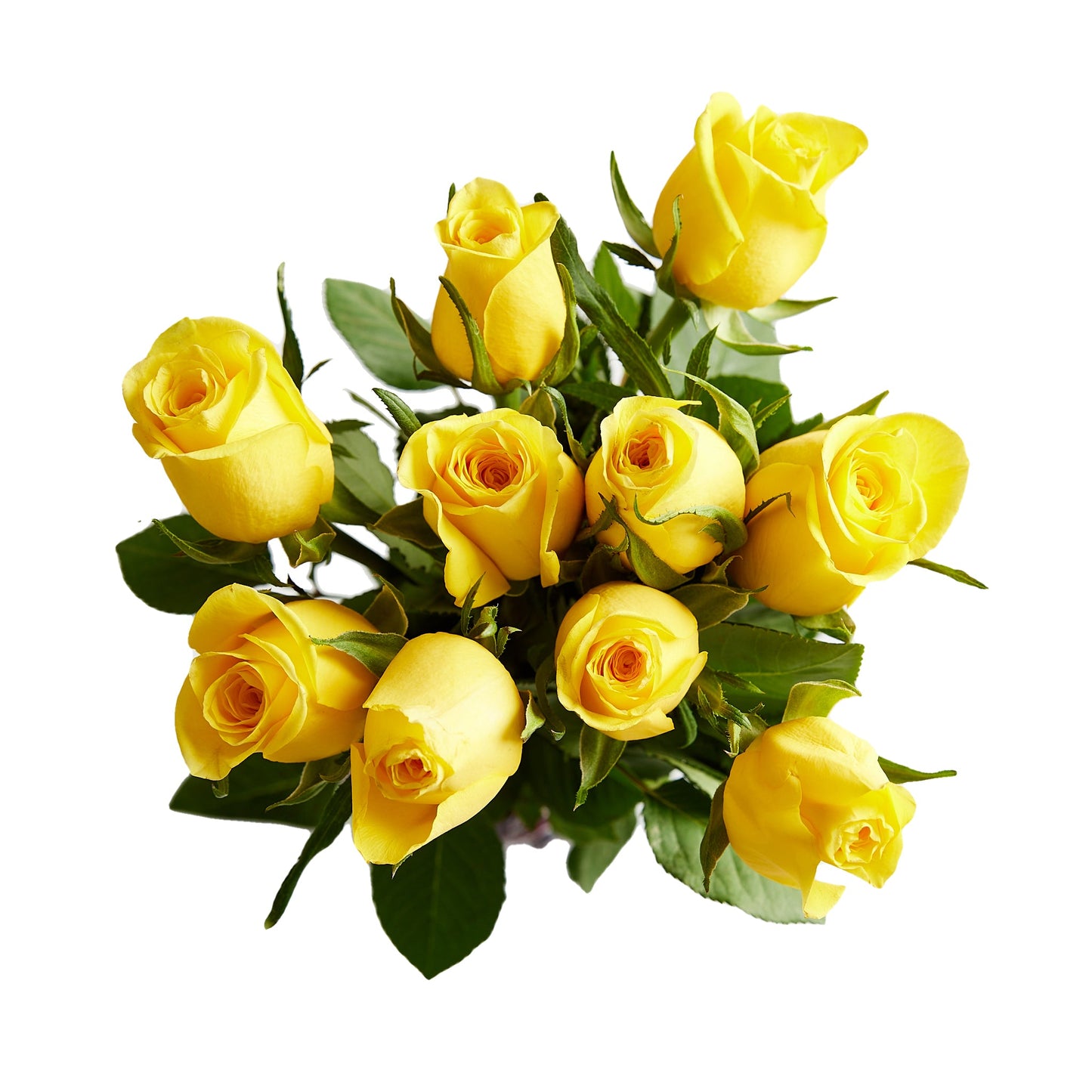 Flowers Roses 10 Stem Bunch Premium