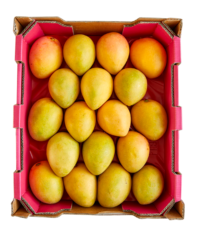 Kensington Pride Mango Tray