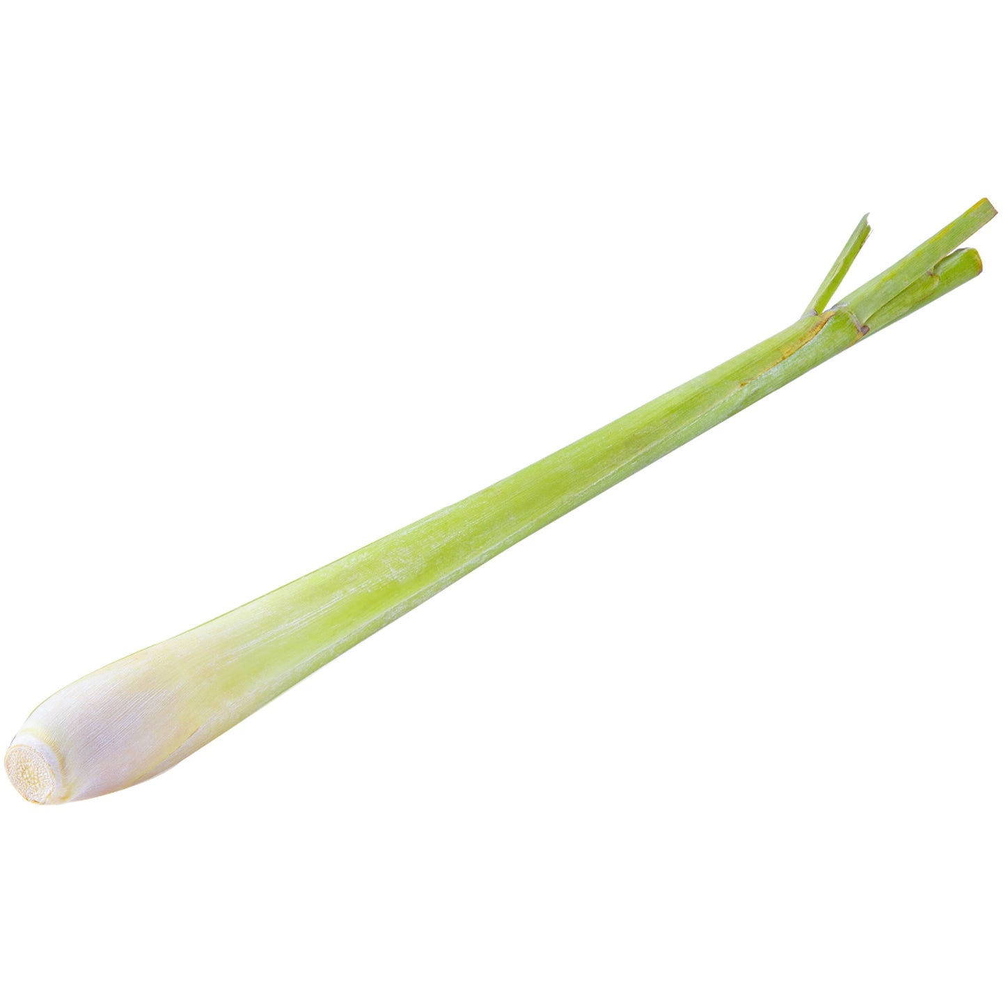 Lemongrass | Harris Farm Online