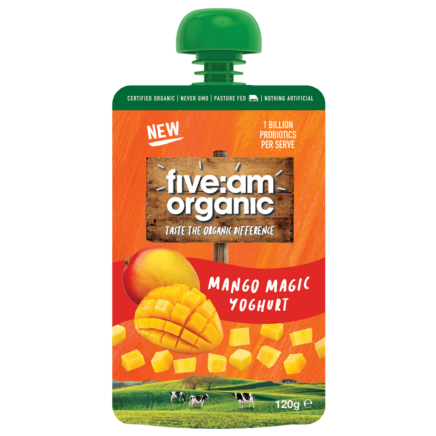 Five AM Mango Organic Kids Yoghurt 120g