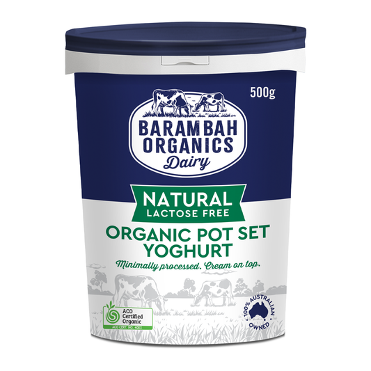 Barambah Organics Lactose Free Natural Yoghurt 500g