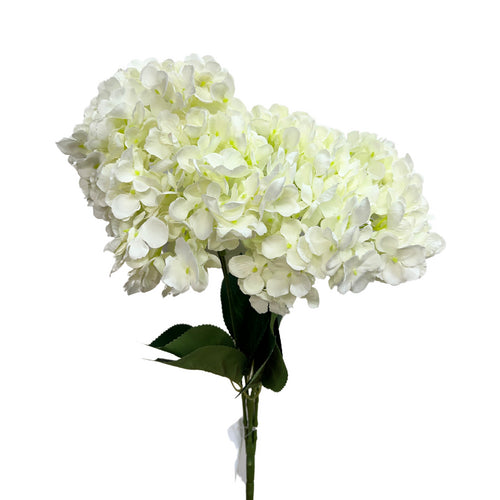 Flowers Hydrangea Premium Bunch