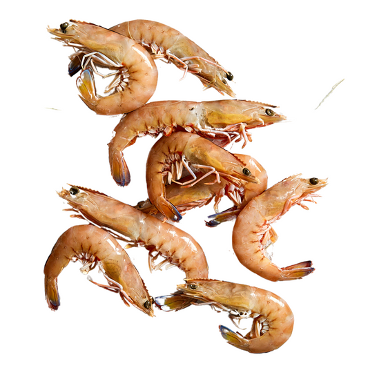 Fish in the Family Raw King Prawns Large Min 500g