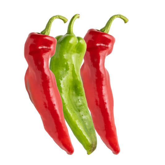 Mt. Alma Organics Bullhorn Chillies 3 Pack Multicolour