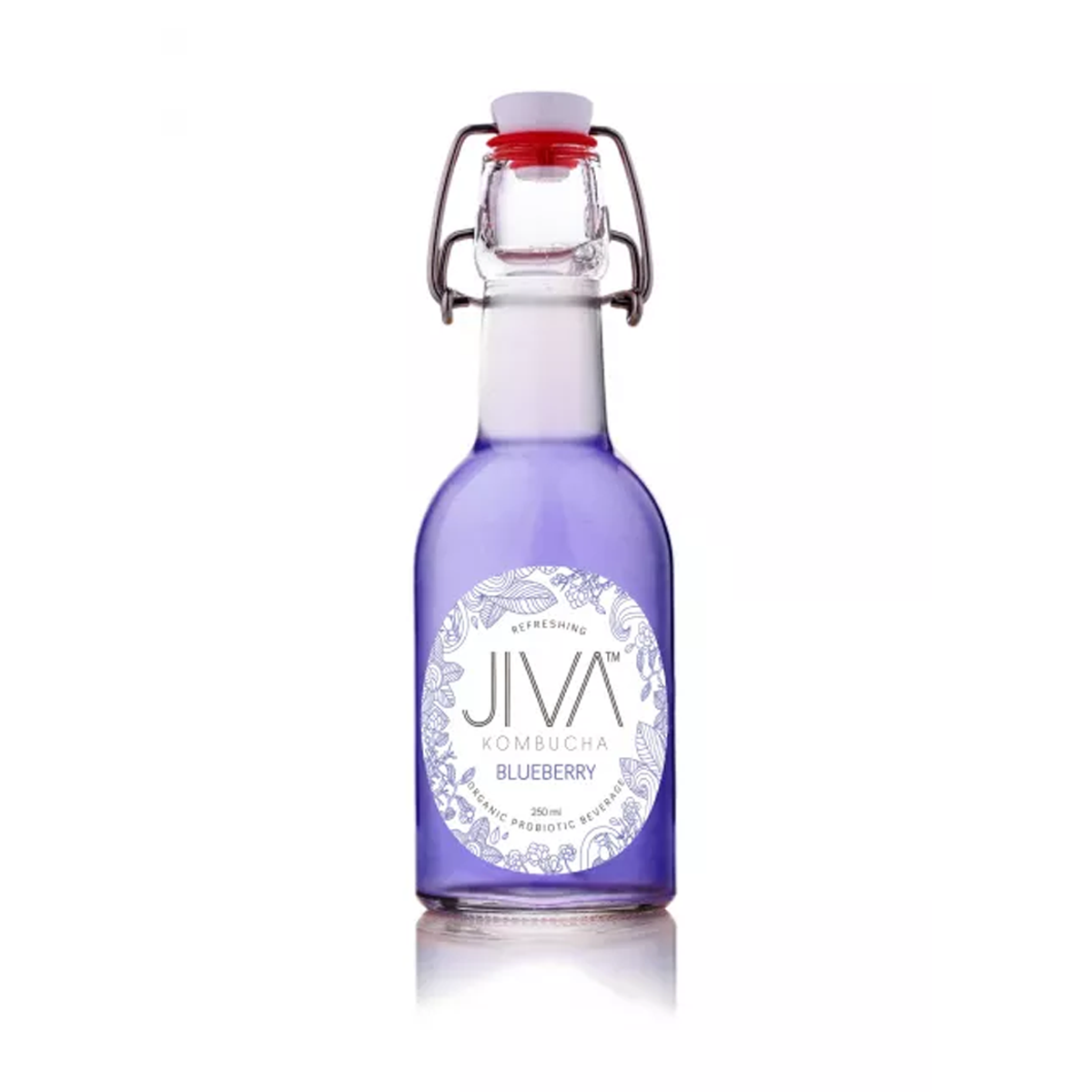 Jiva Kombucha Blueberry 250ml