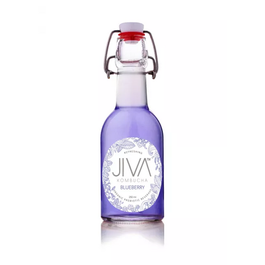 Jiva Kombucha Blueberry 250ml