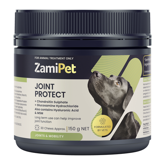 ZamiPet Dog Joint Protect 150g