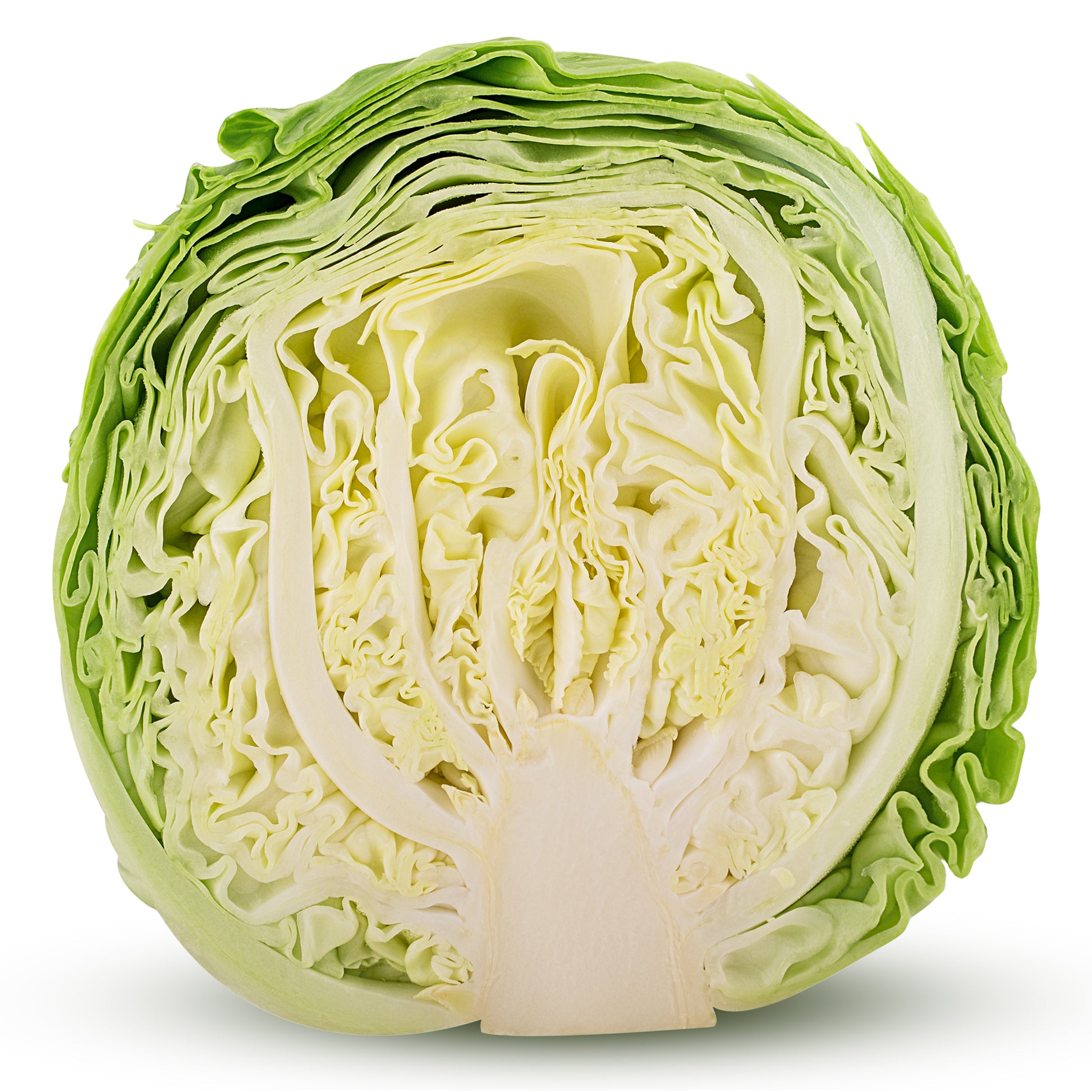 Fresh Cabbage (Half) | Harris Farm Online