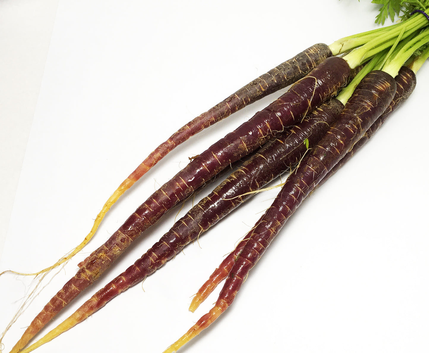 Carrot Purple Dutch Bunch