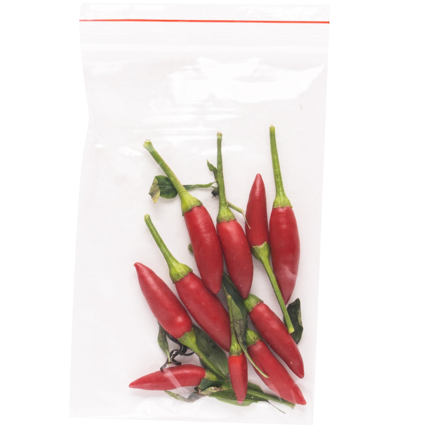 Chilli Birdseye Red Hot min 20g