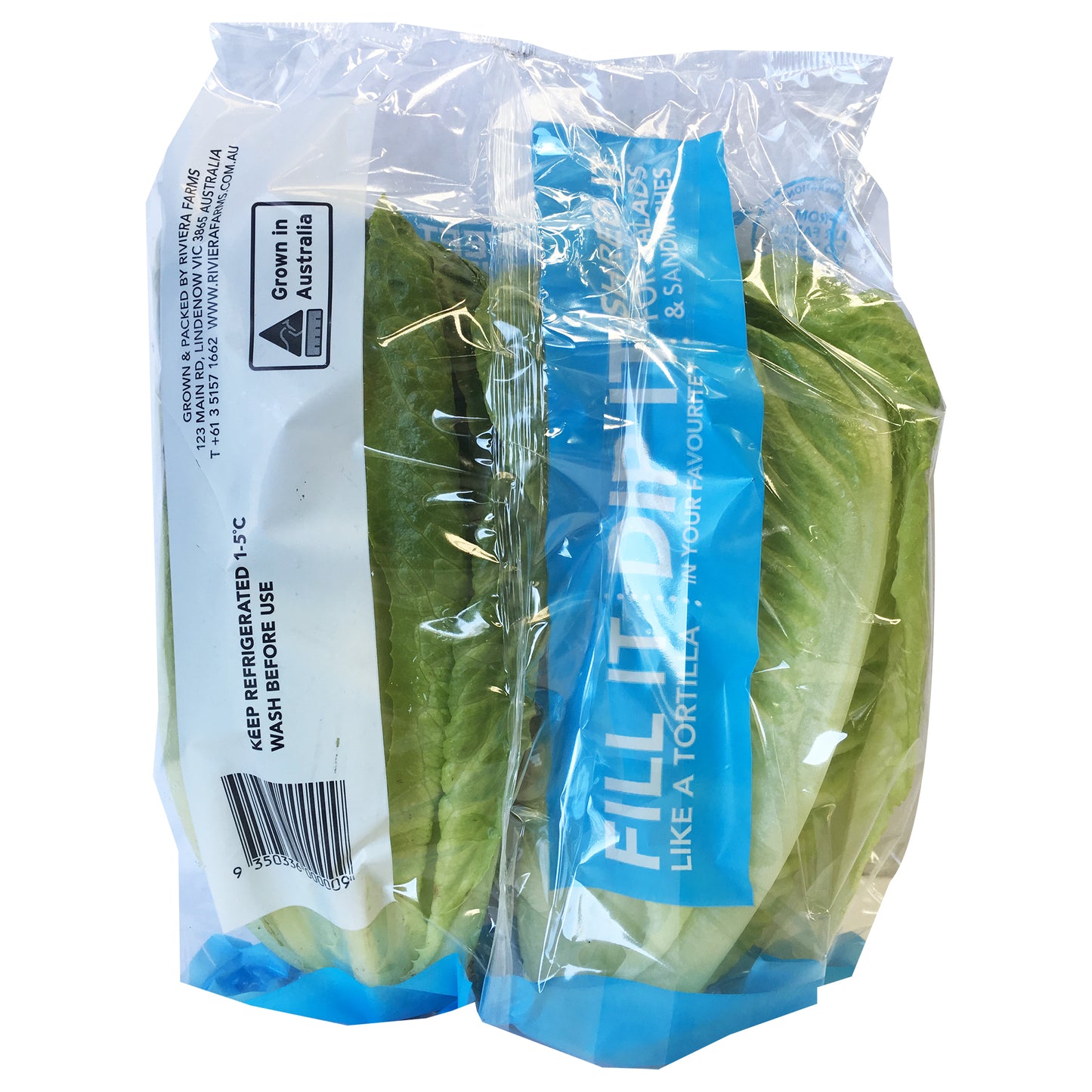 Lettuce Cos Baby | Harris Farm Markets