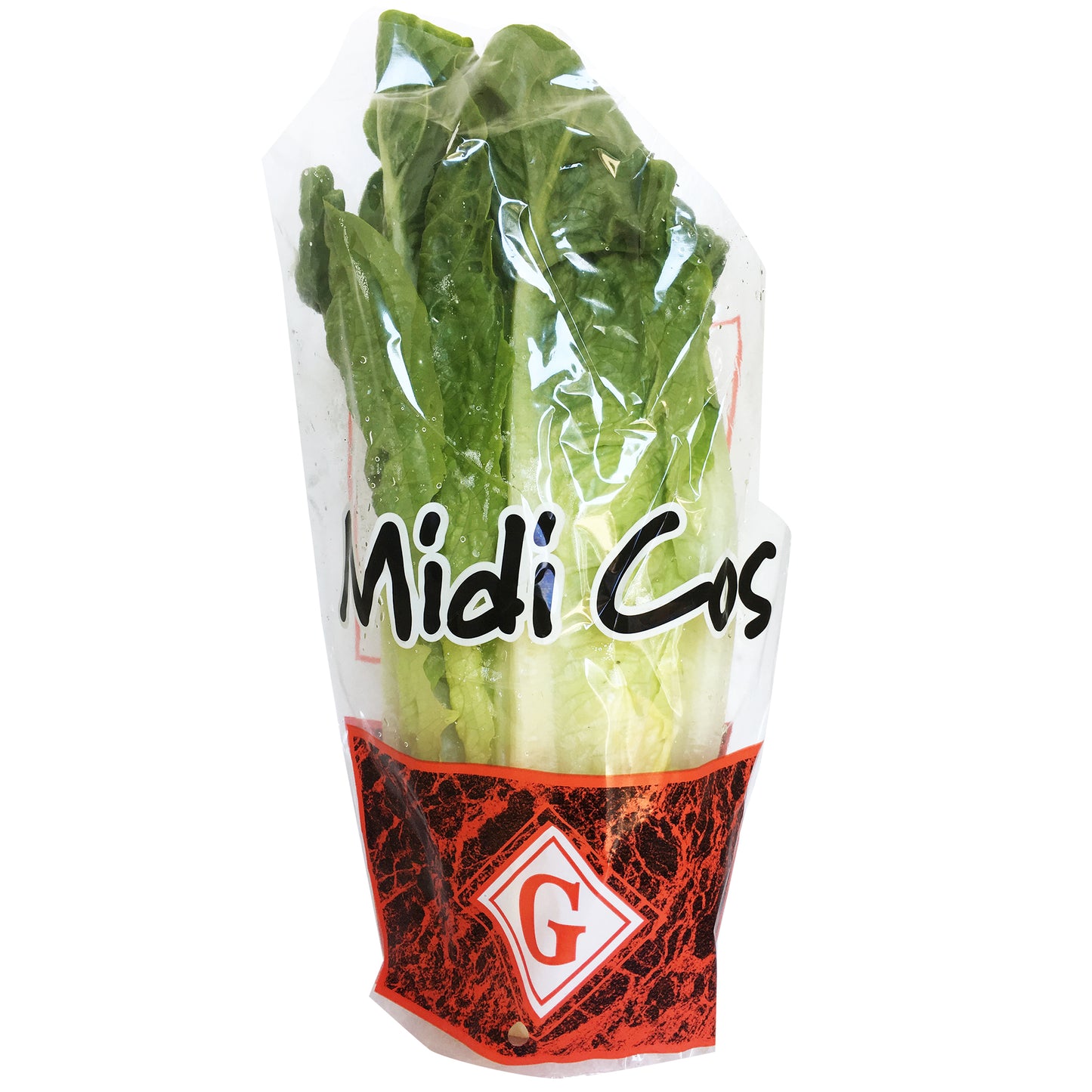 Lettuce Midi Cos | Harris Farm Online