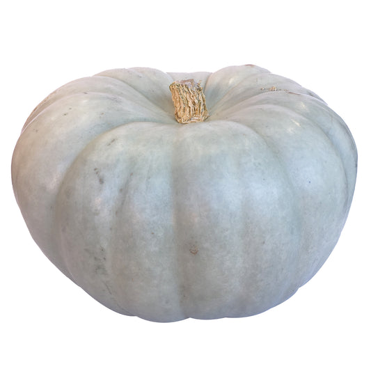 Pumpkin Jarradale | Harris Farm Online