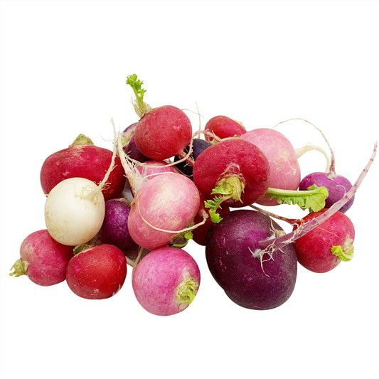 Rainbow Radish | Harris Farm Online