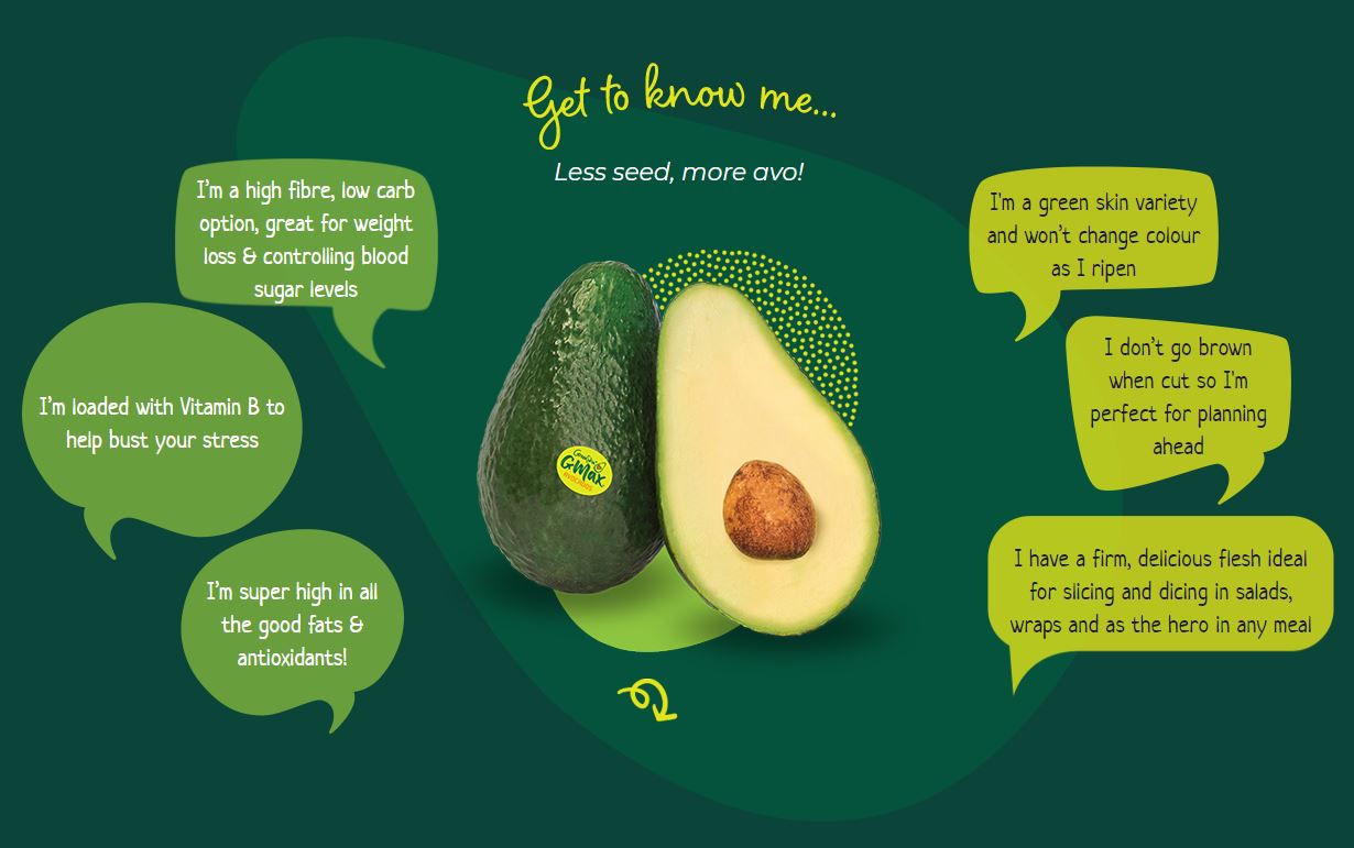 Avocado Greenskin Gmax Large | Harris Farm Online