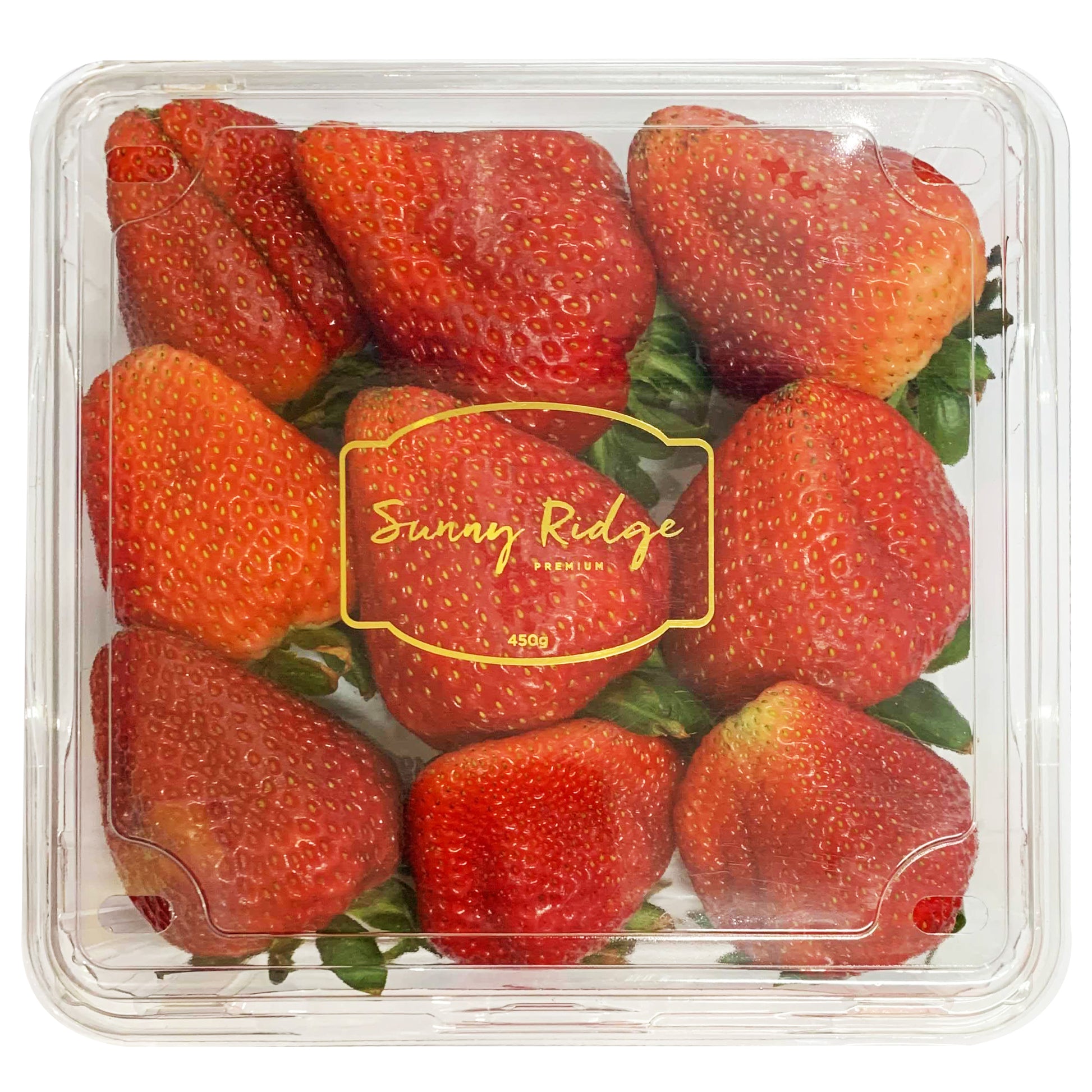 Strawberries Plates | Harris Farm Online