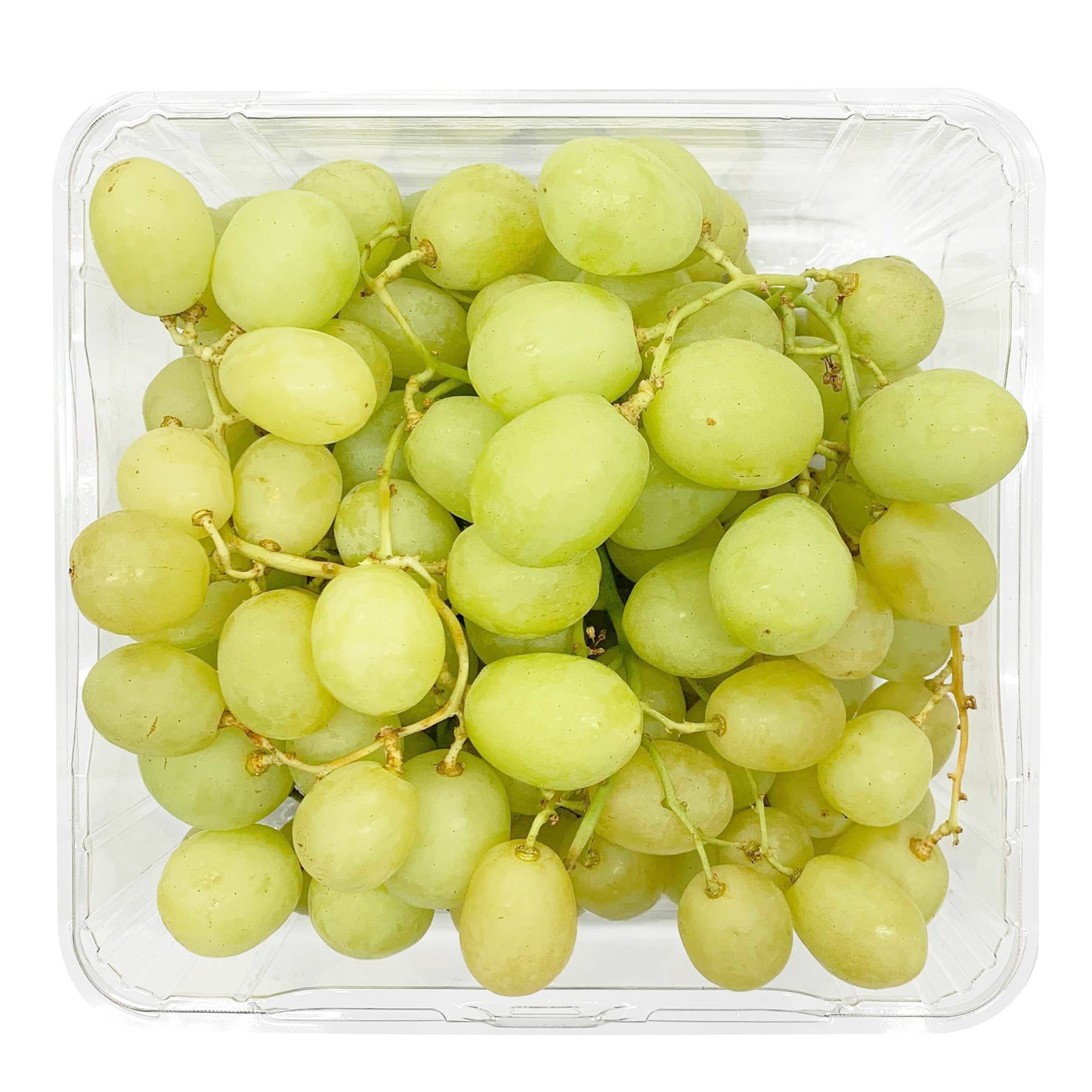 Grapes White Seedless 500g