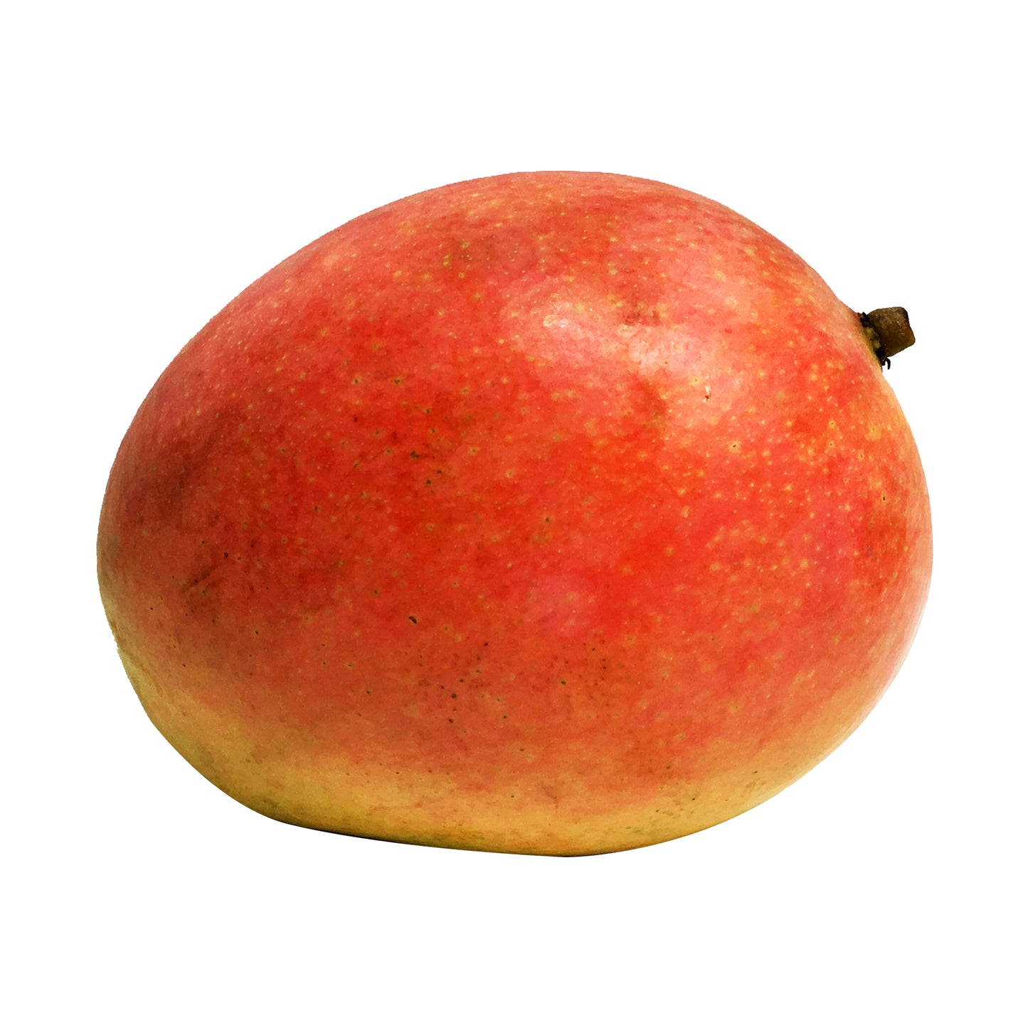 Calypso Mangoes | Harris Farm Online