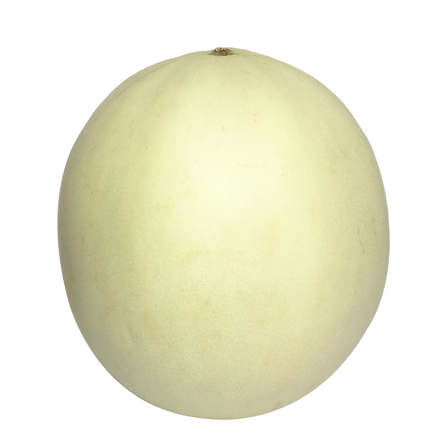 Melon Honeydew Large | Harris Farm Online