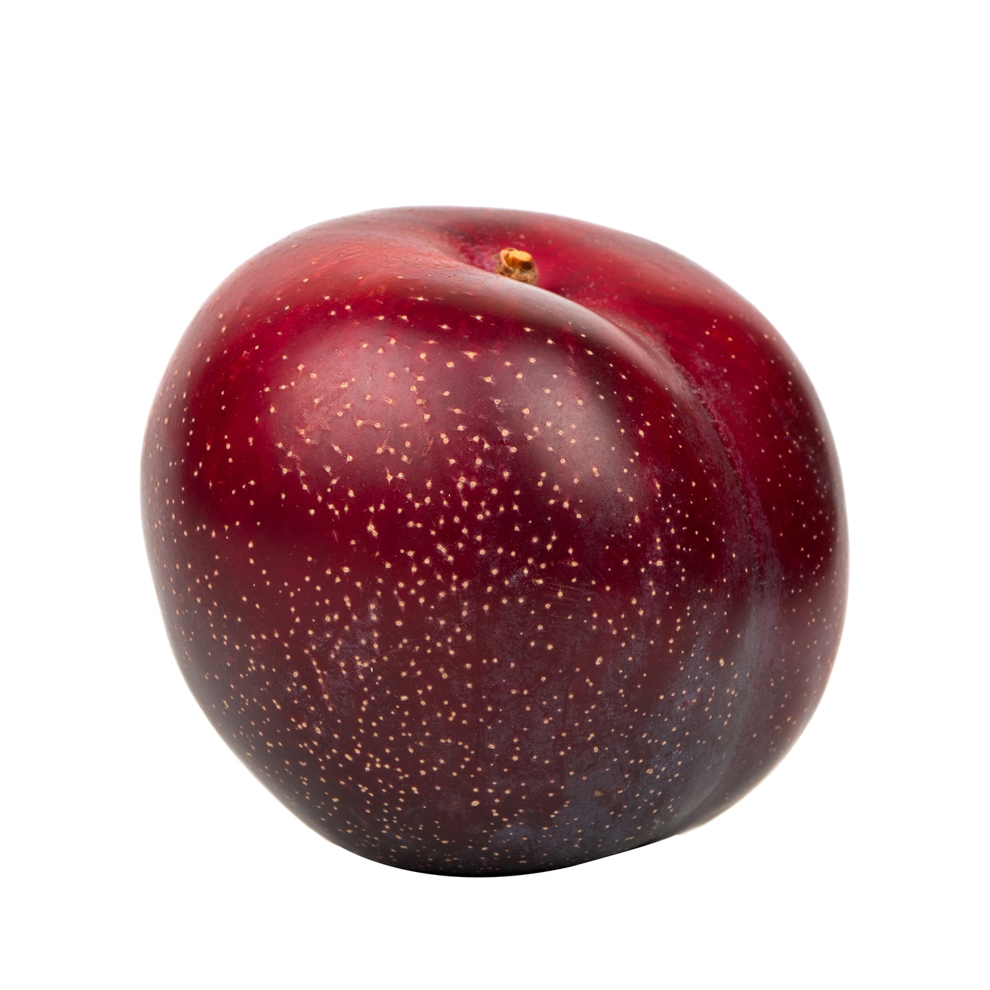 Plums Sunset | Harris Farm Online