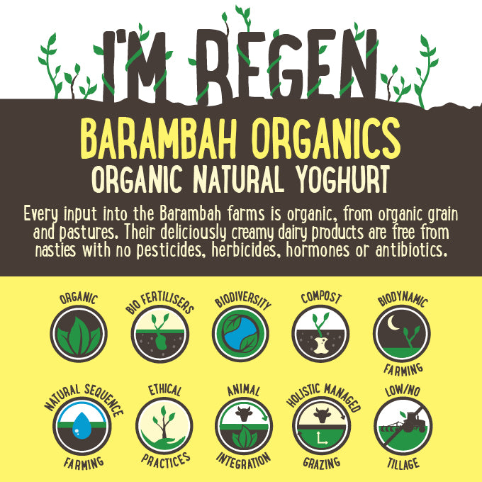 Barambah Organics All Natural Full Fat Yoghurt  | Harris Farm Online