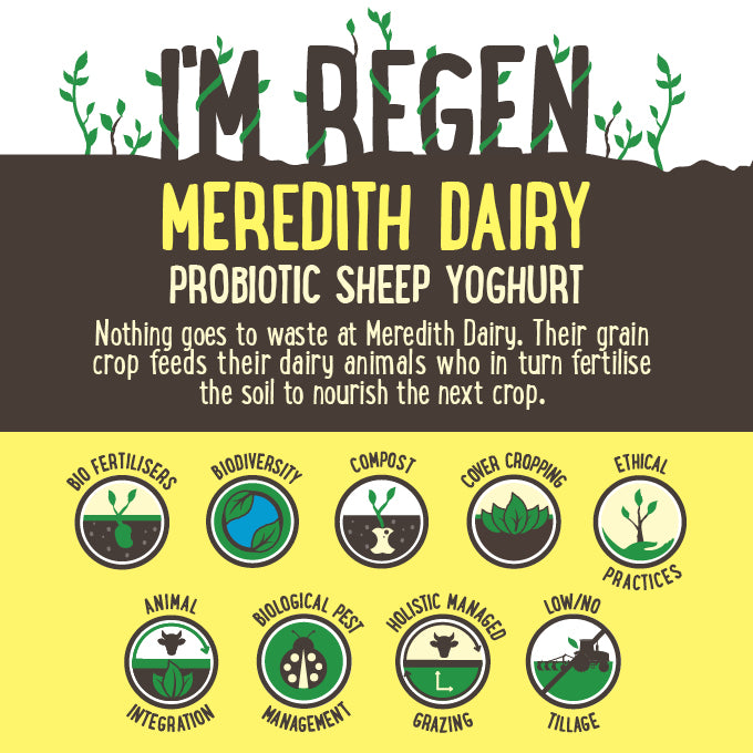 Meredith Dairy Natural Sheep Milk Yoghurt Probiotic | Harris Farm Online