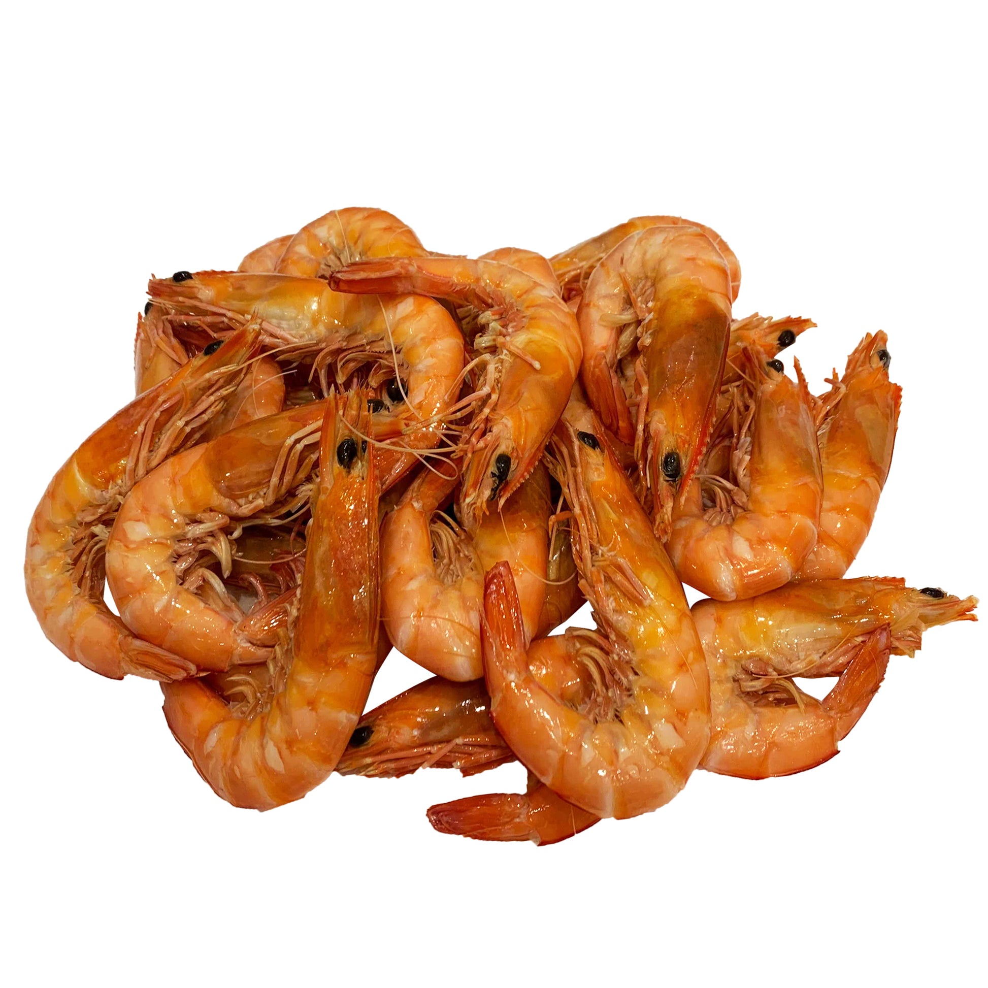 Kings Prawns Large Cooked | Harris Farm Online