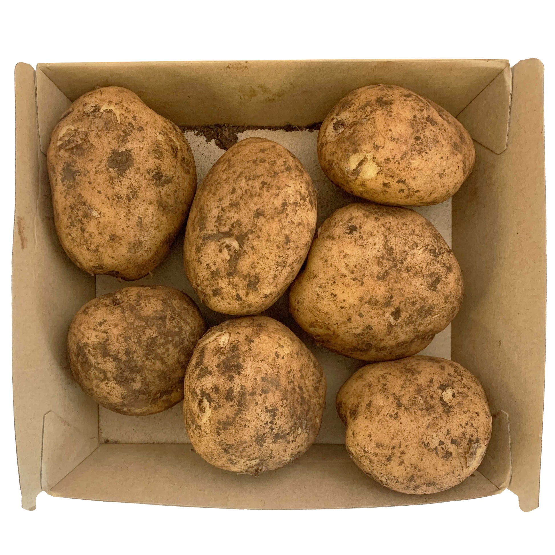 Potato Gourmet Sebago Supreme | Harris Farm Online