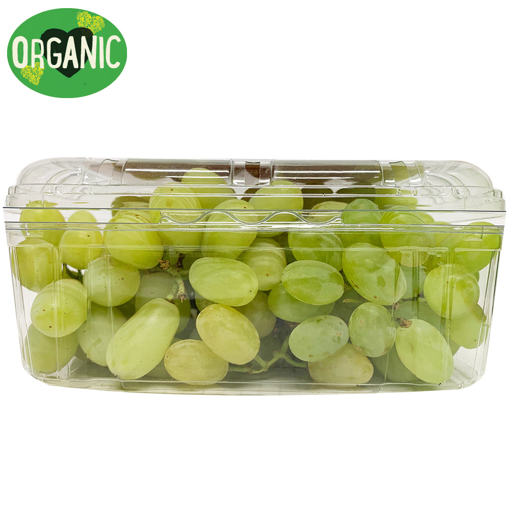 Grapes White Seedless Organic | Harris Farm Online