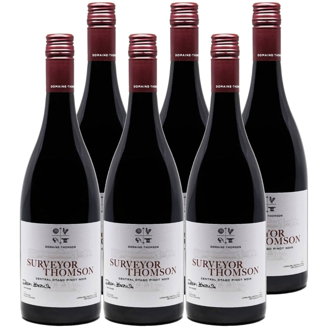 Domaine Thompson - Pinot Noir - Surveyor Thompson | Harris Farm Online