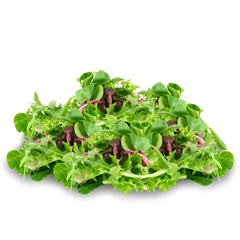 Salad Spinach and Wild Rocket 120g | Harris Farm Online