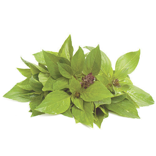 Basil Thai | Harris Farm Online