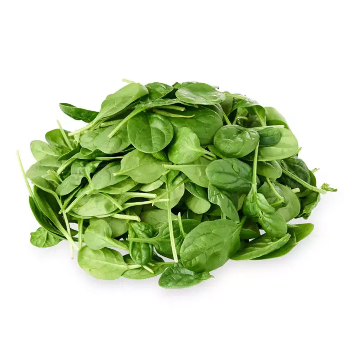 Spinach Baby Leaves Min 100g | Harris Farm Online