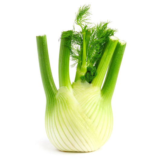 Fennel Each | Harris Farm Market