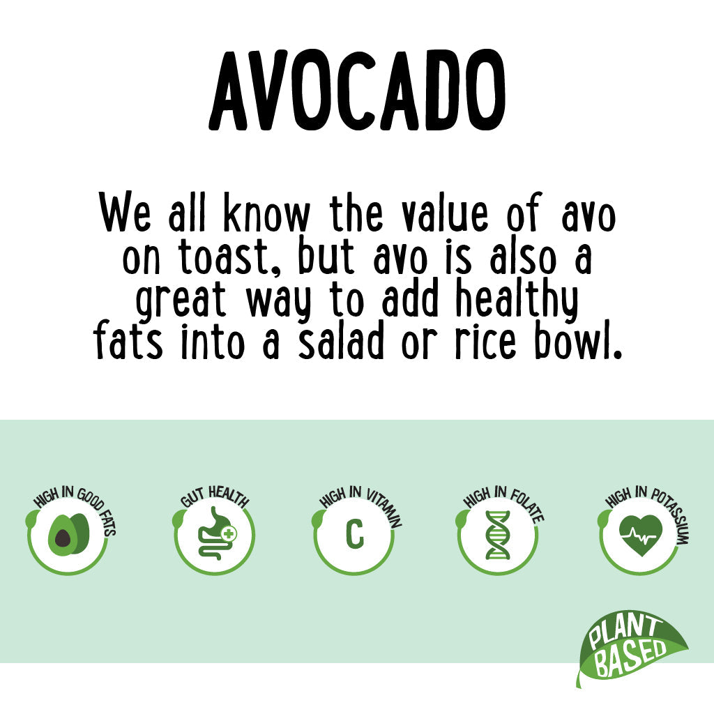 Avocado Eco Each