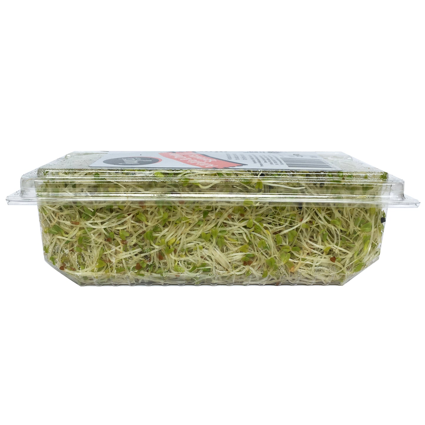 Sprouts - Alfalfa & Onion Sprouts | Harris Farm Online