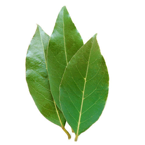 Bay Leaves | Harris Farm Online