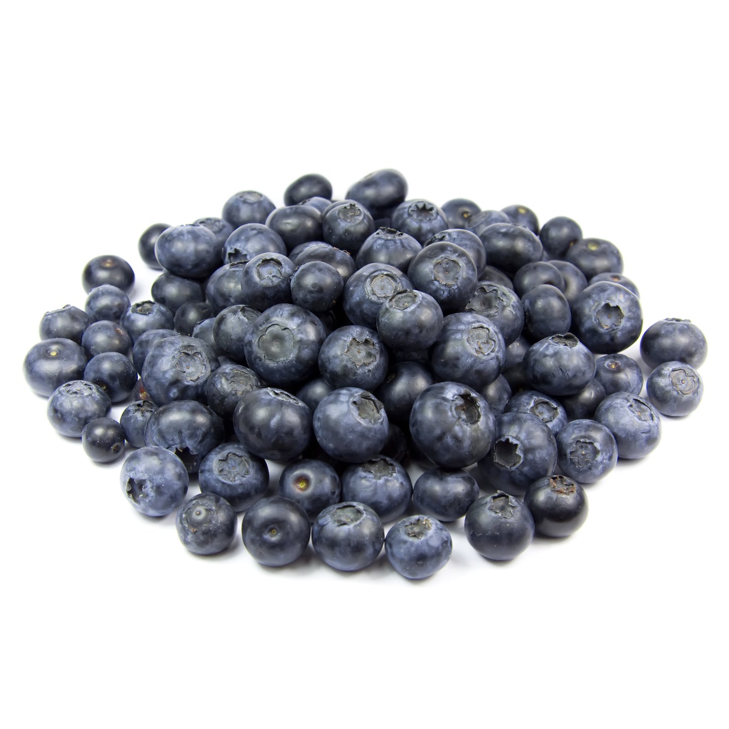 Blueberries | Harris Farm Online