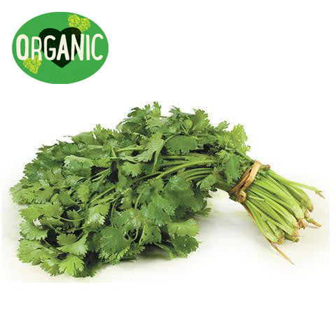 Coriander  Organic | Harris Farm Online