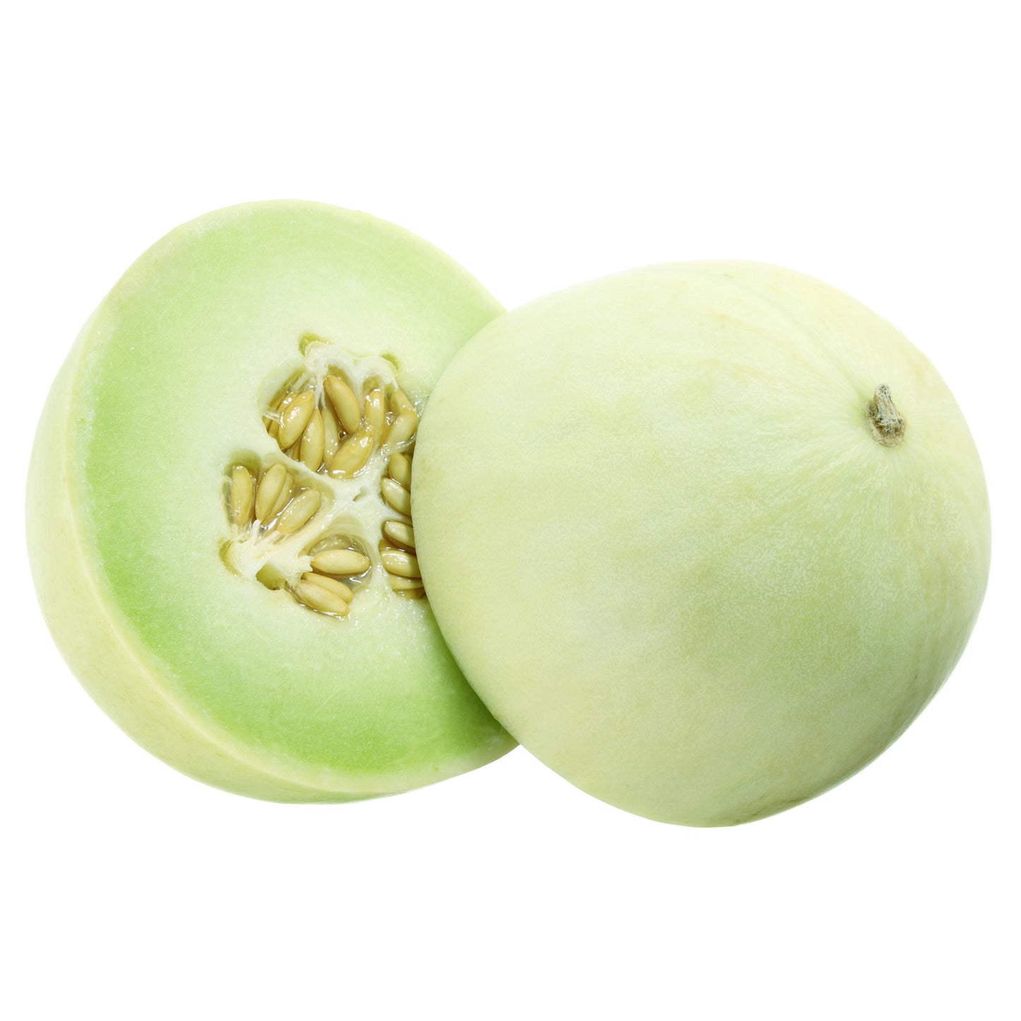 Melon Honeydew Large | Harris Farm Online