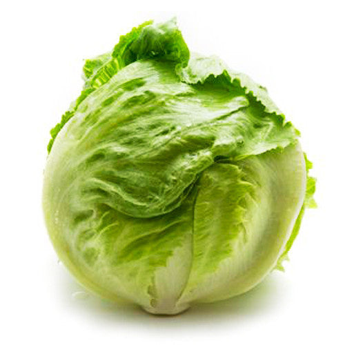 Lettuce Iceberg | Harris Farm Online