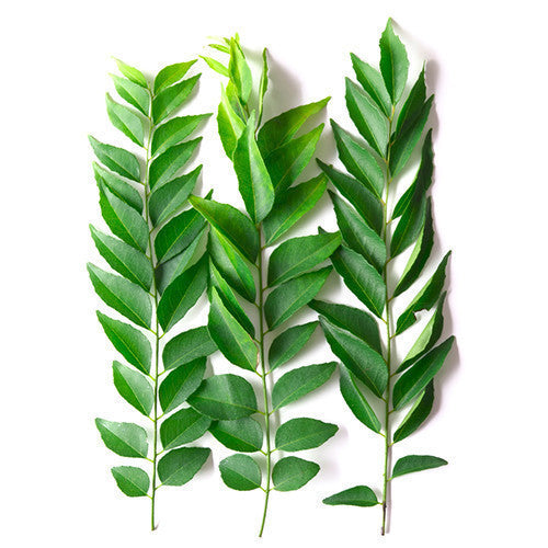 Curry Leaves | Harris Farm Markets