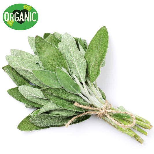 Fresh Herbs Sage Organic | Harris Farm Online