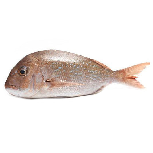 Fresh Baby Snapper Whole | Harris Farm Online