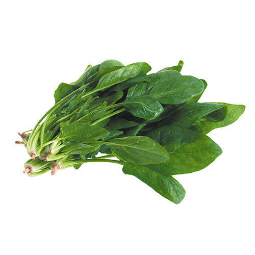 Spinach English | Harris Farm Online